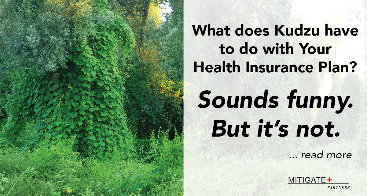 The Kudzu of Your Business:  Your Health Insurance Plan