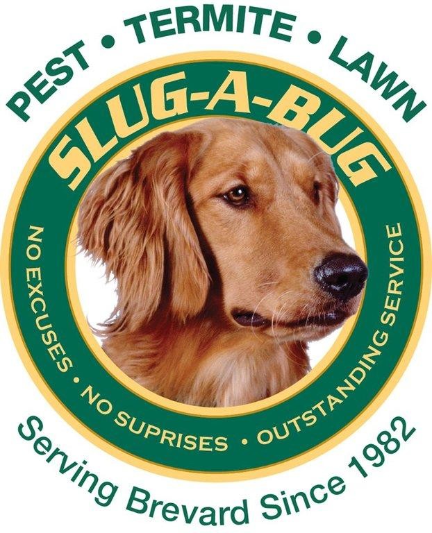 Slug a Bug